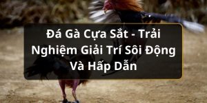 Đá gà cựa sắt