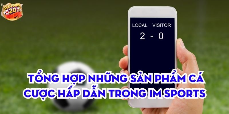 Tổng hợp những sản phẩm cá cược hấp dẫn trong IM Sports